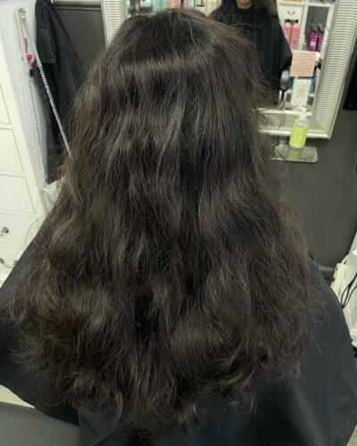 Teddy Bear Brunette teddy bear brown highlights bay area hair salon